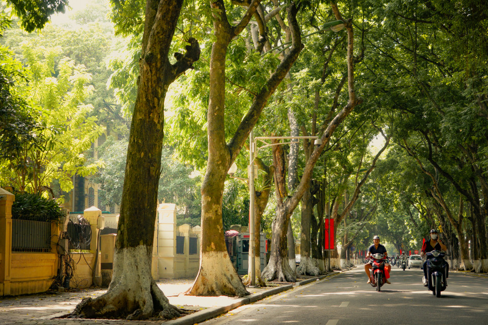Khoảnh khắc sang Thu khiến Hà Nội đã không còn nắng gắt, chỉ còn sự mát mẻ, dễ chịu trên con phố quen. (Ảnh: Minh Hiếu/Vietnam+)