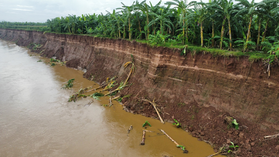 Nhiều đoạn bờ sông Thao đã lở sâu vào khu vực đất canh tác nông nghiệp trên bãi bồi, tiềm ẩn nguy cơ ảnh hưởng đến các khu dân cư của xã Bản Nguyên. (Ảnh: Tạ Toàn/ TTXVN)