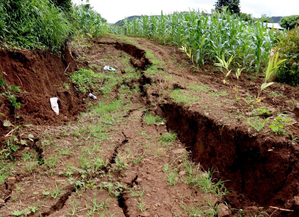 Sụt lún đất trong vườn của một hộ dân huyện Đắk R’lấp, tỉnh Đắk Nông. (Ảnh: TTXVN)