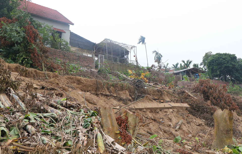 Khu vực sạt lở bờ sông Thao (Phú Thọ) chỉ cách nhà dân vài mét, khiến nhiều hộ phải di dời đến nơi an toàn (Ảnh: Tạ Toàn/TTXVN)