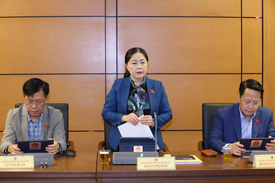 Đại biểu Quốc hội tỉnh Thái Nguyên Đoàn Thị Hảo phát biểu. (Ảnh: Phương Hoa/TTXVN)