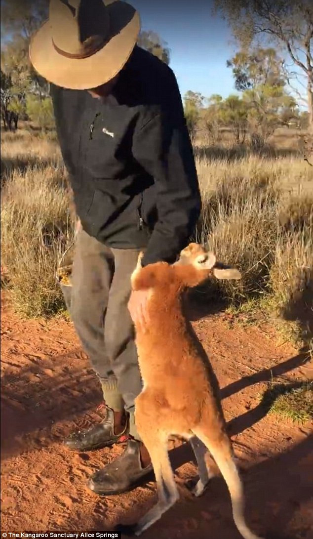  Johanssen đã buông tay ông Barns ra và đi theo người chủ của mình. (Nguồn: Daily Mail)