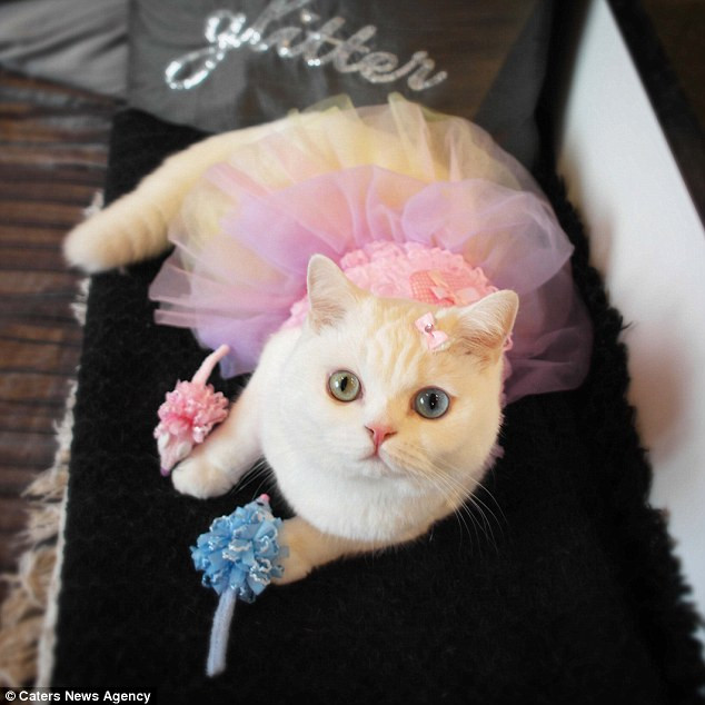 Starina Esperenza Silvaz có hàng nghìn người theo dõi trên Instagram. (Nguồn: Caters News Agency)