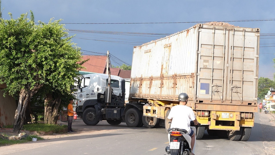 Xe container "cắt nóc" không che phủ thùng xe, chở củ sắn nguyên liệu về nhà máy chế biến tinh bột sắn thuộc ấp An Lộc, xã An Cơ, huyện Châu Thành, tỉnh Tây Ninh. (Ảnh: Minh Phú/TTXVN)