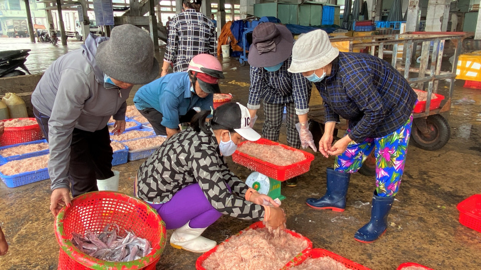 Thương lái đến thu mua ruốc tươi của ngư dân vừa khai thác. (Ảnh: Tường Quân/TTXVN)