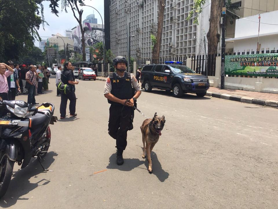 (Ảnh: Ngọc Hiệp-Xuân Chiến/Vietnam+)