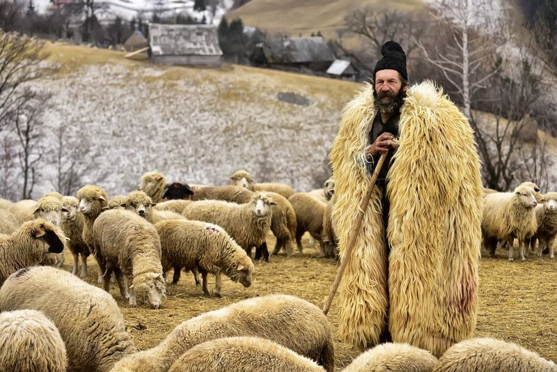 Người chăn cừu ở miền Trung Romania. (Nguồn: NatGeo)