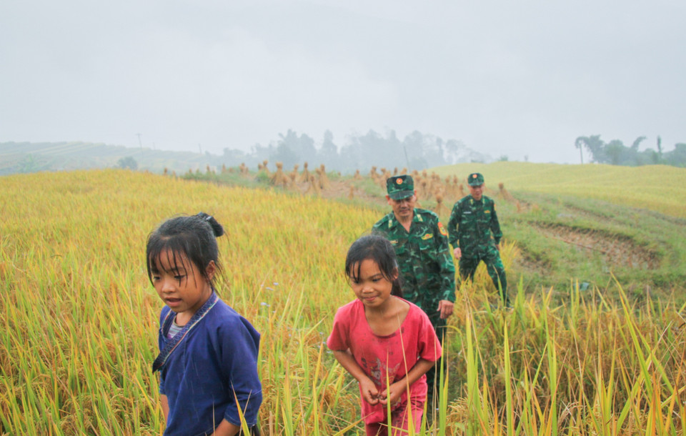 Bộ đội Biên phòng luôn hỗ trợ, thăm lúa, thua hoạch lúa giúp người dân. (Ảnh: Nam Thái/TTXVN)