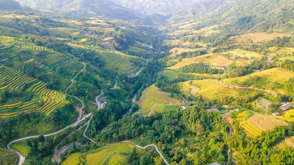 Những thửa ruộng bậc thang vàng óng bên sườn núi. (Ảnh: Nam Thái/TTXVN)