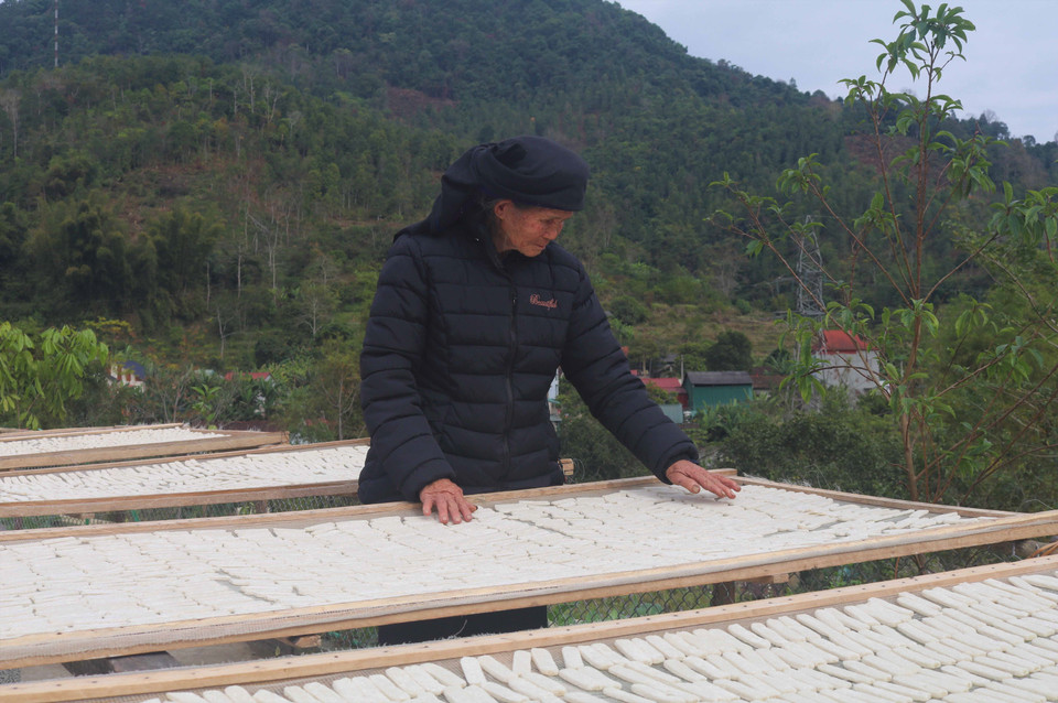 Bánh cắt xong được sàng cho sạch bột rồi đem phơi ở chỗ râm mát cho tới khi bánh khô dần. (Ảnh: Chu Hiệu/TTXVN)