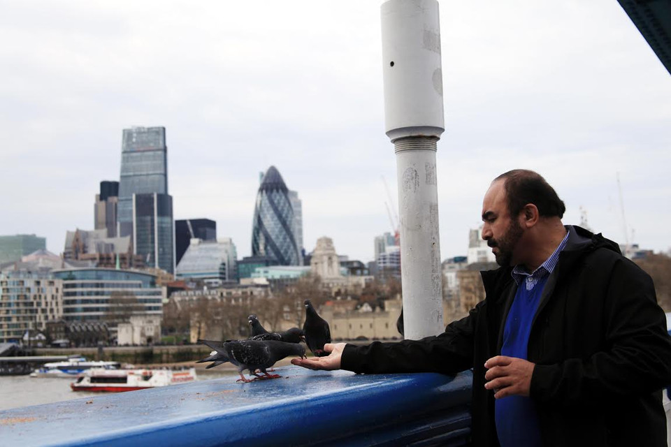 Cho chim bồ câu ăn mỗi chiều. (Ảnh: Như Mai/Vietnam+)