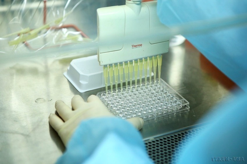 Giải thưởng Kovalevskaia được tổ chức thường niên nhằm tôn vinh những tập thể, cá nhân nhà khoa học nữ Việt Nam có thành tích xuất sắc trong nghiên cứu và ứng dụng khoa học vào thực tiễn cuộc sống. (Ảnh: Minh Quyết/TTXVN)