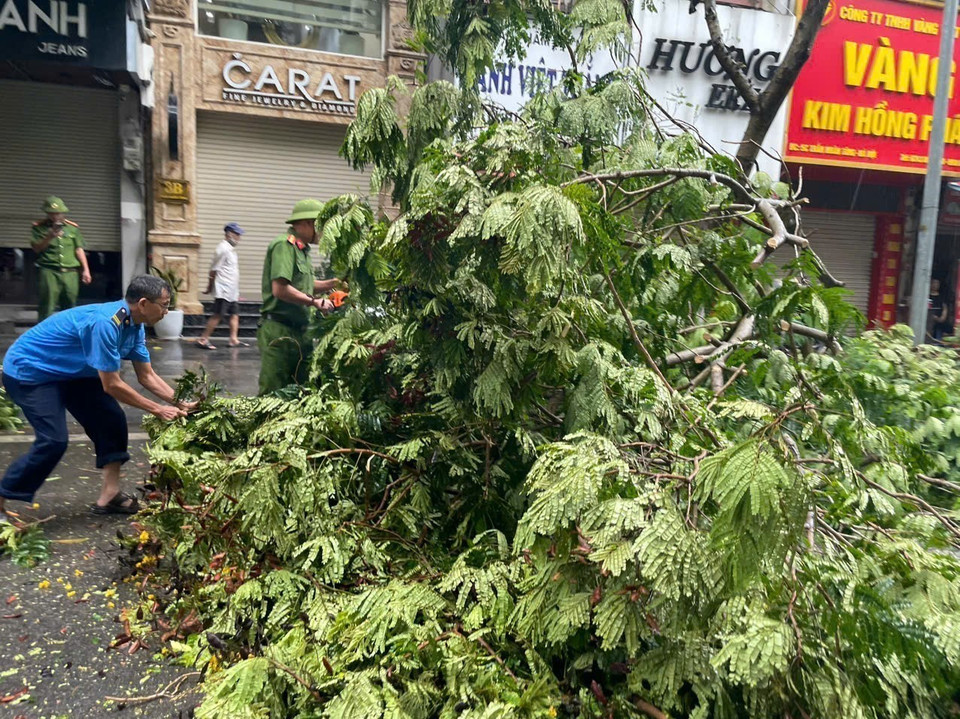 Cây đổ trên phố Trần Nhân Tông. (Ảnh: Lâm Khánh/TTXVN)