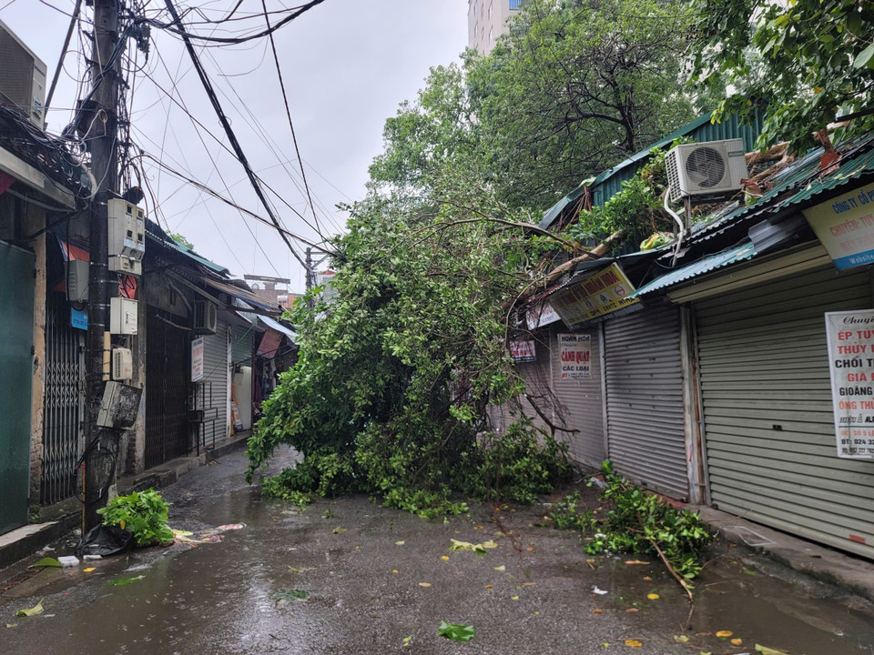 Cây đổ tại phố Lê Gia Định, phường Đồng Nhân, Hai Bà Trưng. (Ảnh: Doãn Tấn/TTXVN)