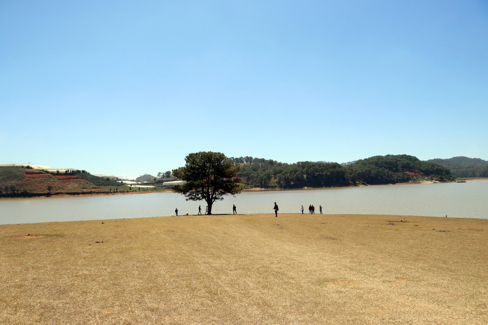  Điểm du lịch 'Cây thông cô đơn' tại hồ Đankia - Suối Vàng, huyện Lạc Dương, tỉnh Lâm Đồng đang thu hút nhiều du khách. (Ảnh: Chu Quốc Hùng/TTXVN)