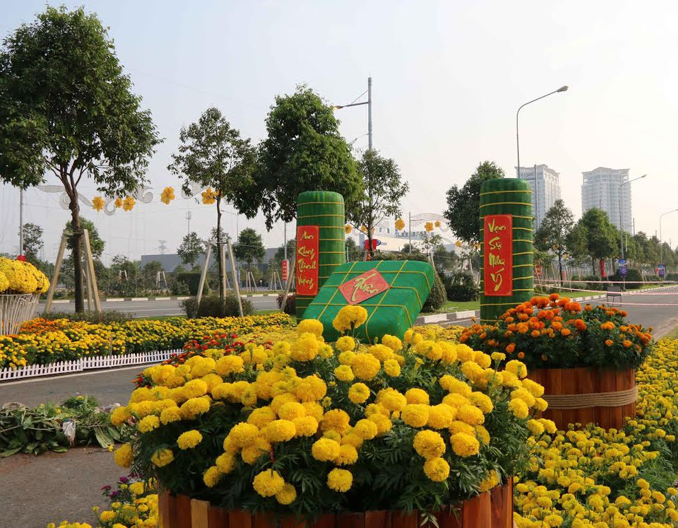 Một gốc đường hoa. (Ảnh: Quách Lắm/Vietnam+)