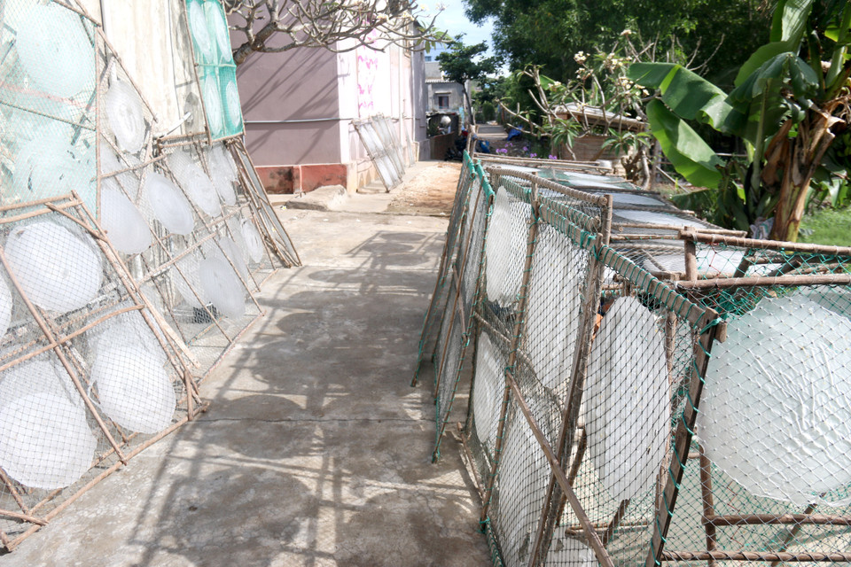 Người dân tận dụng mọi khoảng trống trên đảo để phơi bánh tráng. (Ảnh: Nguyễn Thanh/TTXVN)