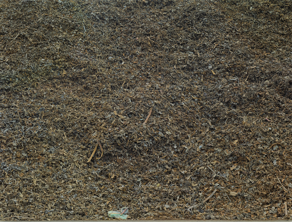 Gỗ vụn ở Tacoma năm 2004