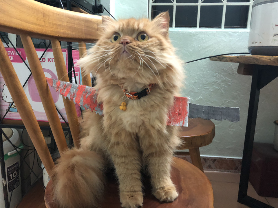 Thái độ thản nhiên đón nhận tai họa. (Nguồn: Vietnam+)