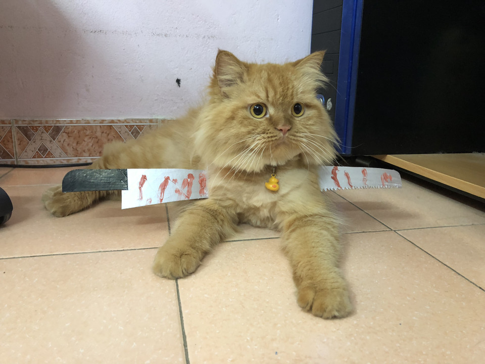 Một lưỡi cưa xẻ ngang người. (Nguồn: Vietnam+)