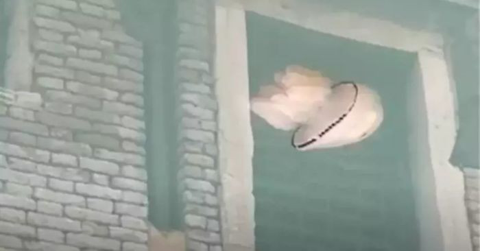 Vào tuần trước, nhà sinh vật học Andrea Mangoni đã quay lại thước phim quý giá này, cho thấy một con sứa đang nhẹ nhàng bơi lội trong vùng nước ''đặc biệt yên tĩnh'' gần cây cầu Bareteri của thành phố. (Nguồn: BoredPanda)