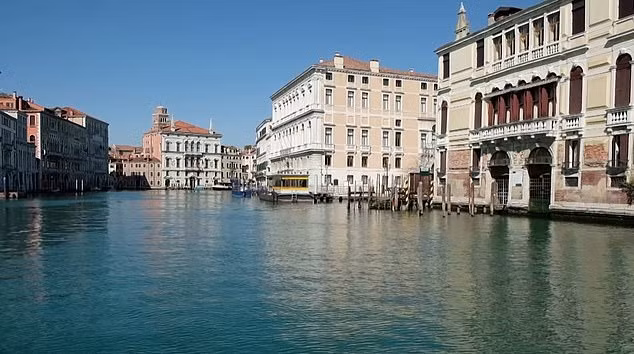 Đoạn clip ghi lại hình ảnh một con sứa bơi lướt qua một con kênh tại Venice, Italy đã gây xôn xao cộng đồng mạng những ngày vừa qua. (Nguồn: DailyMail)