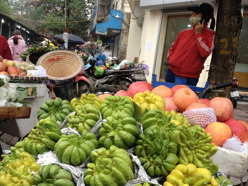 Phật thủ, loại quả quý được nhiều người Hà Nội yêu thích trưng bày trên các mâm quả cúng lễ Tết. (Ảnh: Linh Chi/Vietnam+)