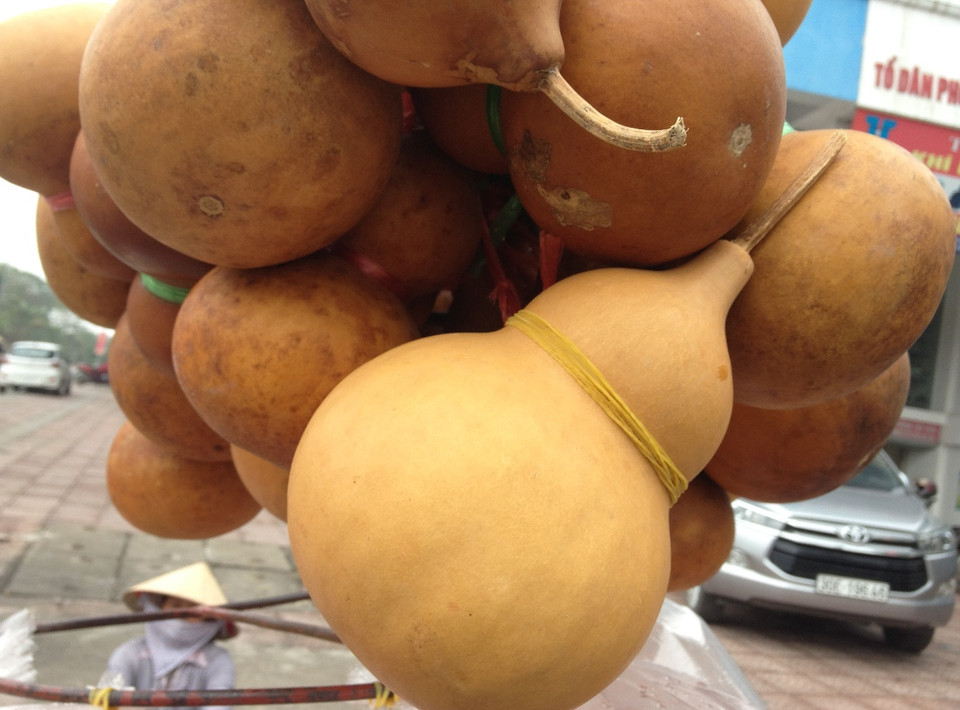 Một số người thích mua bầu hồ lô về nhà trong các dịp năm mới, với mong muốn gặp nhiều may mắn và xua đi những tà ma. (Ảnh: Linh Chi/Vietnam+)