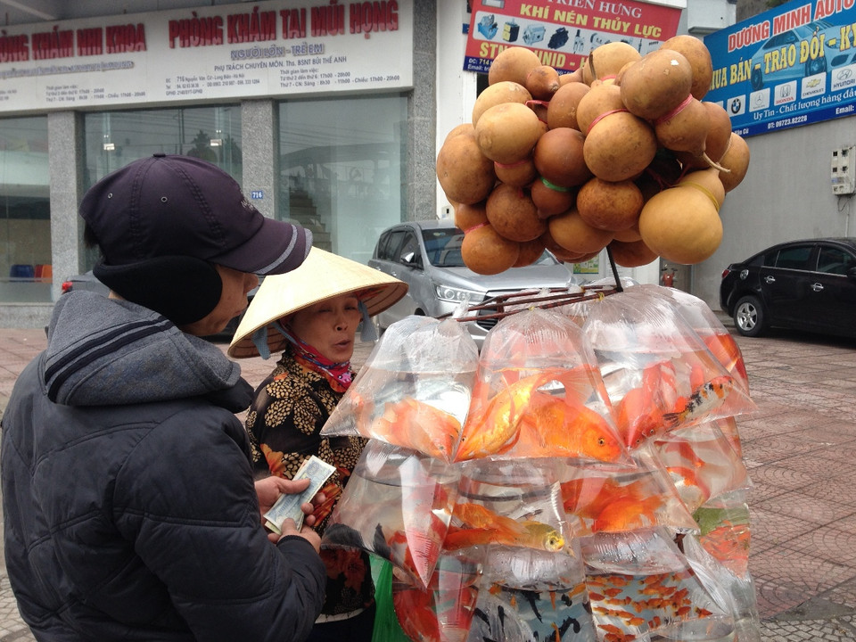 Mỗi trái bầu hồ lô được bán với giá 50.000 đồng. (Ảnh: Linh Chi/Vietnam+)