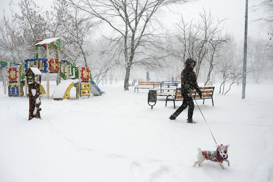 Trung tâm khí tượng thủy văn của Nga bước đầu đánh giá nguyên nhân trận bão tuyết ở Moskva trong ngày 25/12 là do một cơn bão bất thường, trái quy luật. (Nguồn: Sputnik)