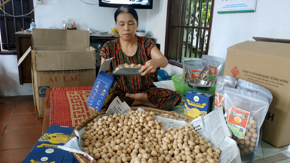  Đóng gói sản phẩm bánh nhãn tại xã Hải Bắc, huyện Hải Hậu. (Ảnh: Nguyễn Lành/TTXVN)