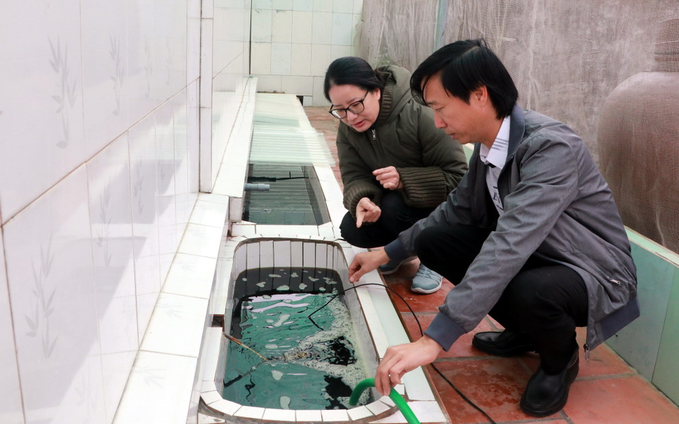 Tất cả quá trình sản xuất nước mắm được thực hiện trong nhà lưới, đảm bảo vệ sinh thực phẩm. (Ảnh: Nguyễn Lành/TTXVN)