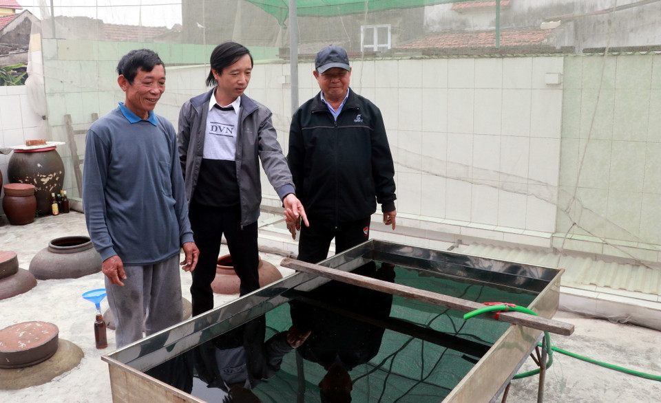 Phơi đẩy mùi cho nước mắm. (Ảnh: Nguyễn Lành/TTXVN)