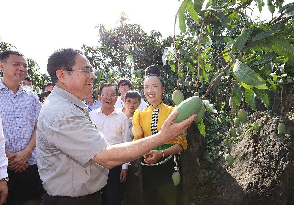 Thủ tướng thăm vùng sản xuất nông nghiệp tại xã Hát Lót, huyện Mai Sơn (Sơn La). (Ảnh: Dương Giang/TTXVN)