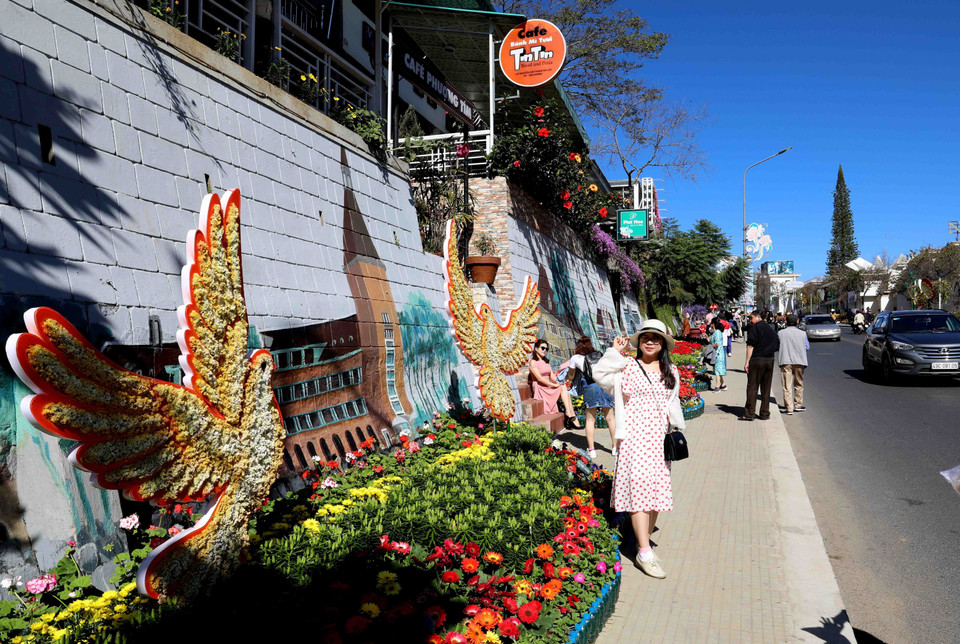 Không gian hoa dọc trục đường Lê Đại Hành (thành phố Đà Lạt) hấp dẫn du khách. (Ảnh: Nhật Anh/TTXVN)