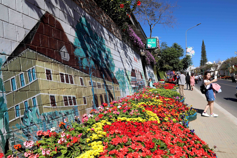 Không gian hoa dọc trục đường Lê Đại Hành (thành phố Đà Lạt) hấp dẫn du khách. (Ảnh: Nhật Anh/TTXVN)