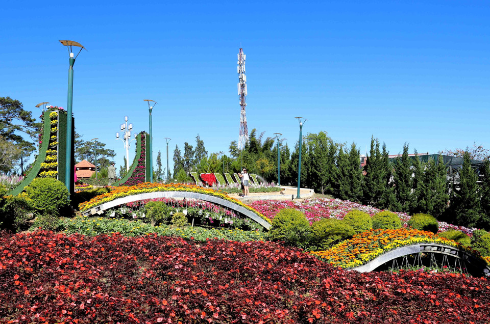 Các địa điểm công cộng được trang trí không gian hoa hấp dẫn du khách. (Ảnh: Nhật Anh/TTXVN)