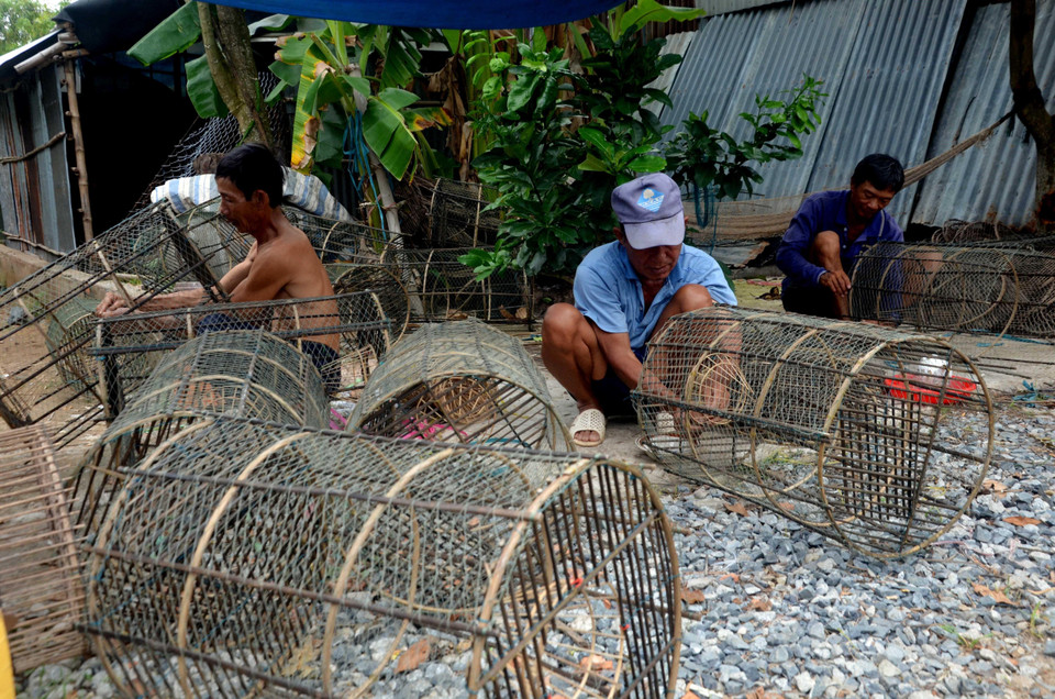 Người dân xã Vĩnh Hội Đông (An Phú, An Giang) sửa lại lợp tôm chuẩn bị cho con nước về lớn hơn. (Ảnh: Công Mạo/TTXVN)