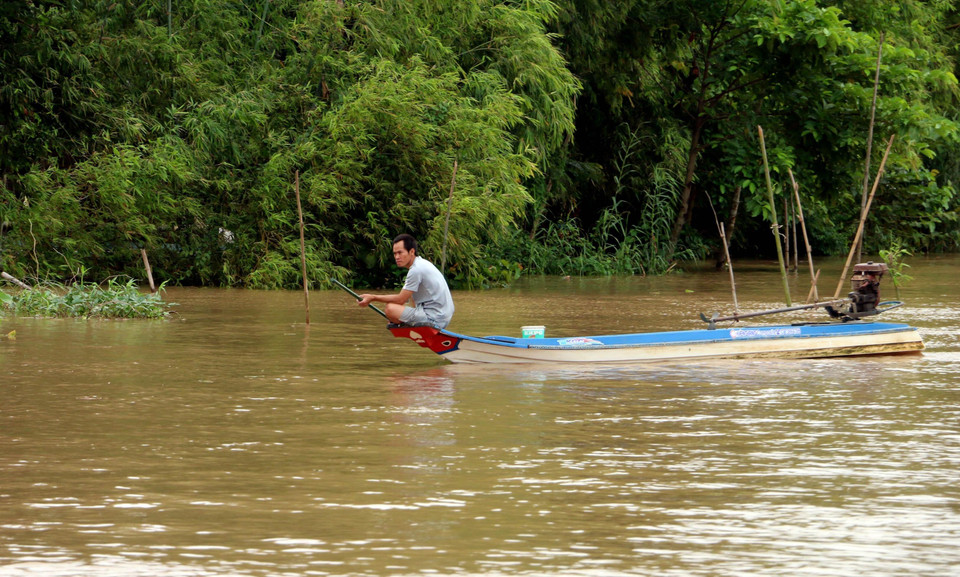 Người dân xã Vĩnh Lộc (An Phú, An Giang) tranh thủ con nước về thả lọp bắt cá. (Ảnh: Công Mạo/TTXVN)
