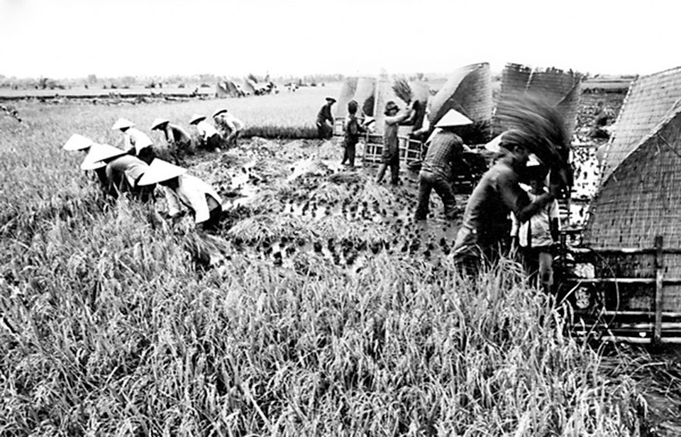 Dưới sự lãnh đạo của Đảng, thành phố Hồ Chí Minh có bước trưởng thành về nhận thức, mạnh dạn thể nghiệm những mô hình đổi mới cơ chế quản lý kinh tế, tháo gỡ khó khăn, giải phóng cho sản xuất phát triển đúng hướng, nhằm thoát khỏi cơ chế tập trung quan liêu bao cấp. (Nguồn: TTXVN)