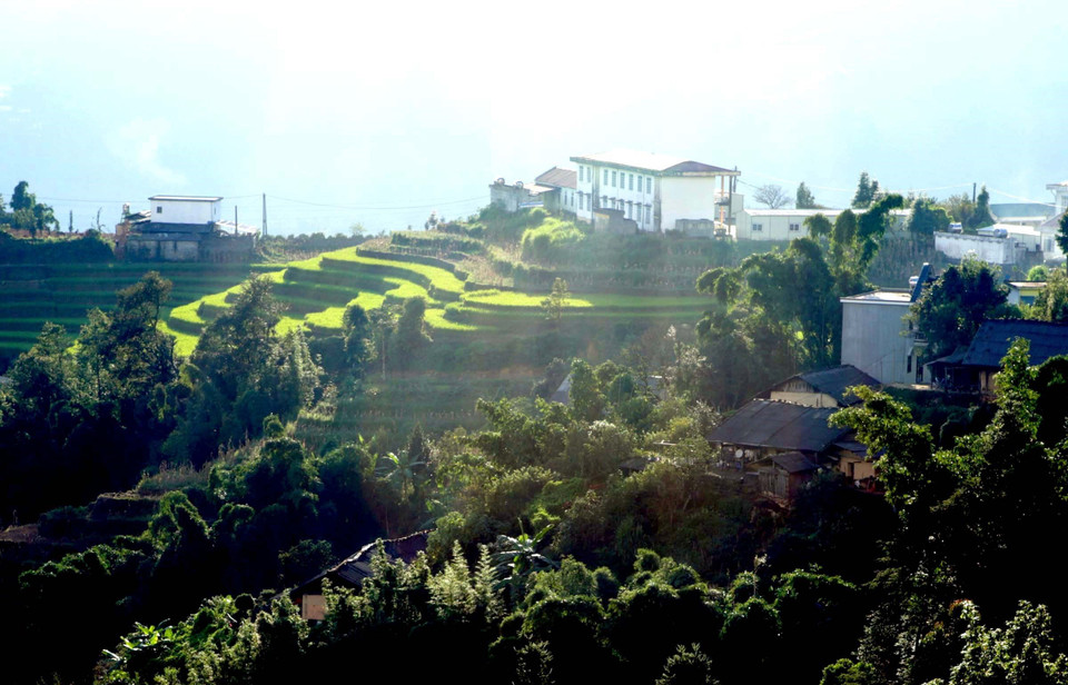 Trong ánh nắng chiều, ruộng bậc thang ẩn hiện giữa núi rừng long lanh ánh vàng tạo ấn tượng với ai đã từng đến vùng biên viễn của xã Sì Lở Lầu (Lai Châu). (Ảnh: Quý Trung/TTXVN)