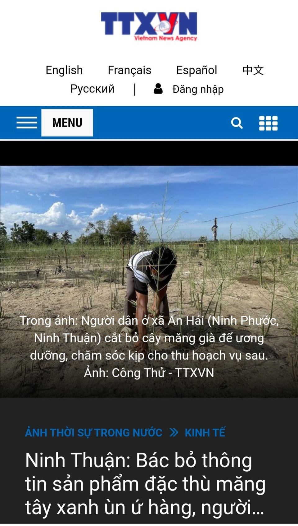 TTXVN hãng tin tức quốc gia cung cấp thông tin thời sự chính thống cho các cơ quan thông tin đại chúng, là công cụ sắc bén trên mặt trận đấu tranh thông tin, chỉnh hướng những thông tin sai lệch, phản bác luận điệu xuyên tạc, sai trái của các thế lực thù địch, góp phần quan trọng vào công cuộc xây dựng, phát triển và bảo vệ đất nước. Trong ảnh: Nhiều tin, bài của TTXVN đã chỉnh hướng những thông tin sai lệch. (Nguồn: TTXVN)