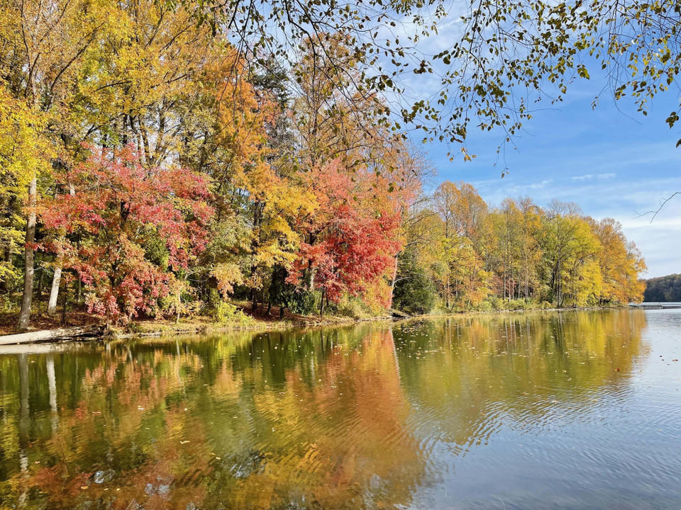 Hồ nước in bóng hàng cây mùa Thu. (Ảnh: Đặng Huyền/TTXVN)