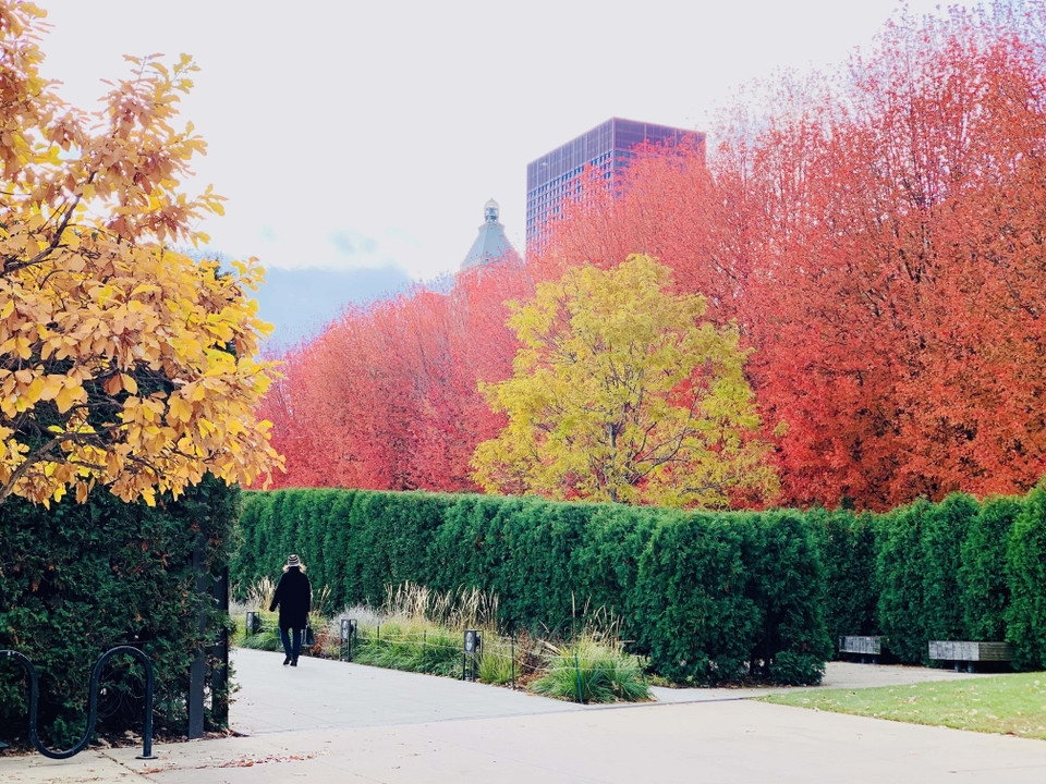 Con đường gần trung tâm thành phố Chicago. (Ảnh: Đặng Huyền/TTXVN)