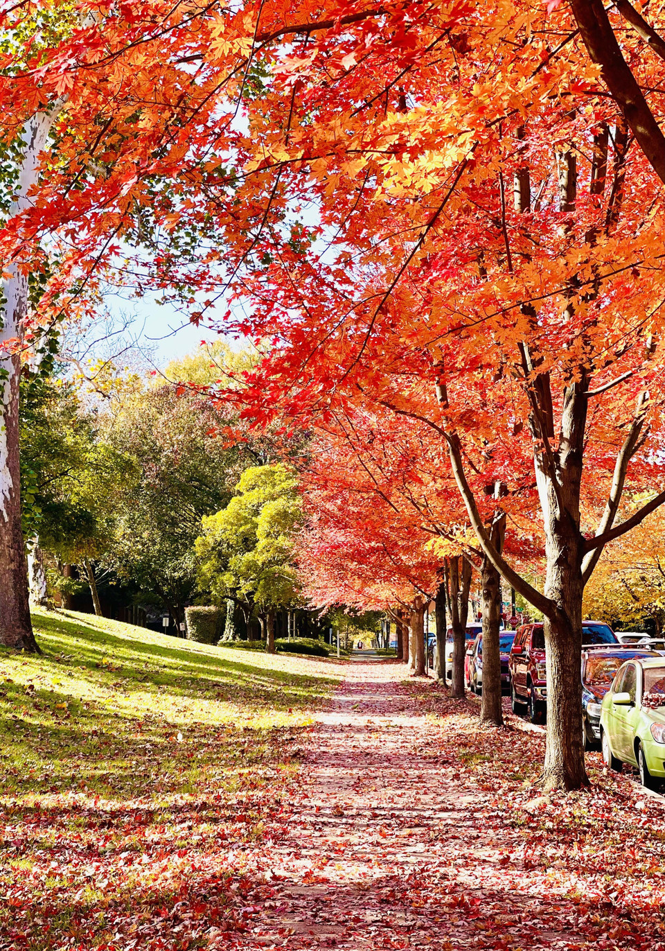 Góc phố hàng ngày mang một vẻ đẹp quyến rũ. (Ảnh: Đặng Huyền/TTXVN)