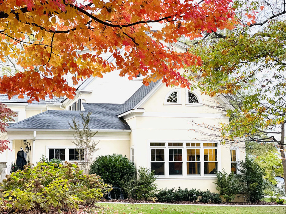 Ngôi nhà được tô điểm với cây vàng trước cửa. (Ảnh: Đặng Huyền/TTXVN)