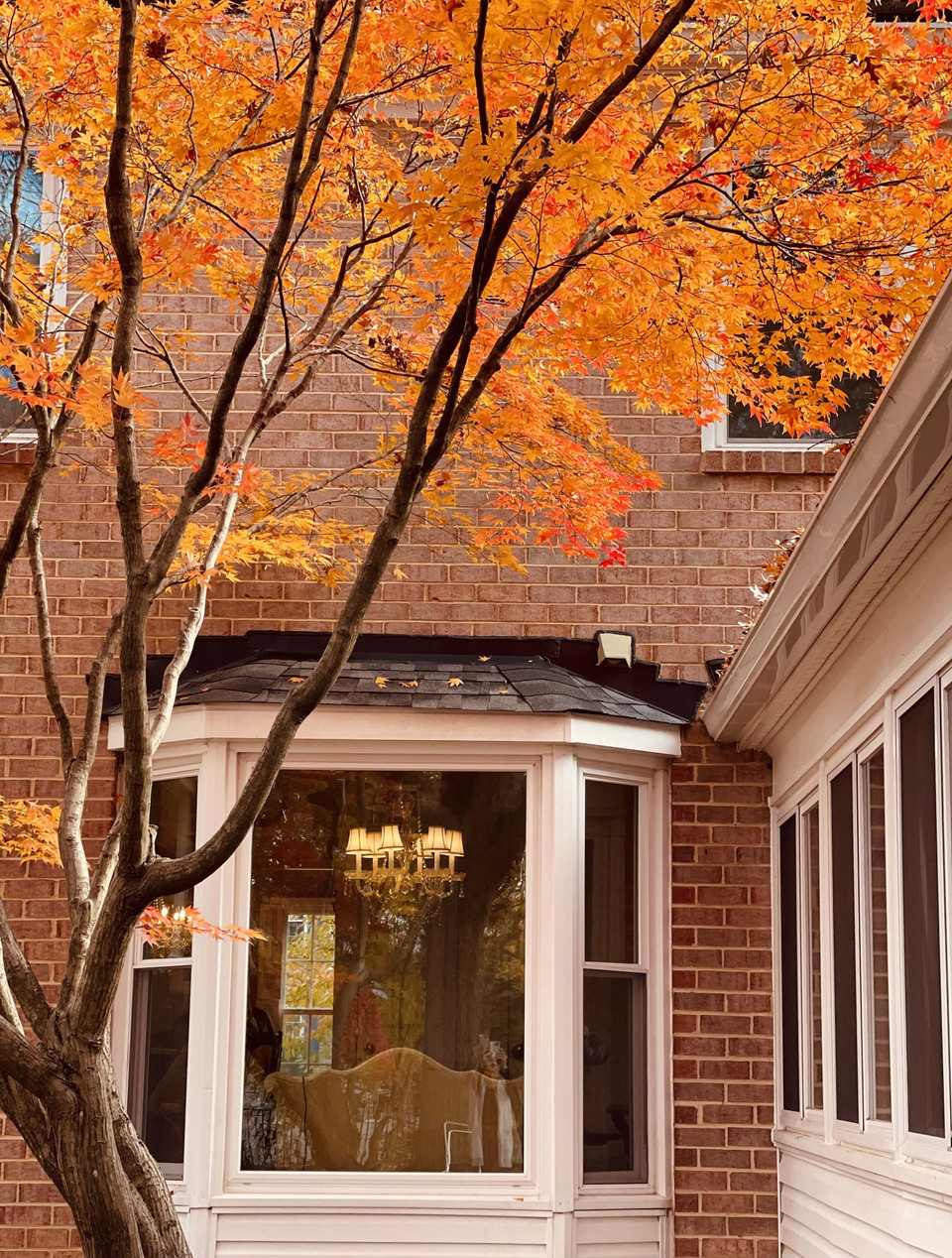 Khung cửa sổ mùa Thu. (Ảnh: Đặng Huyền/TTXVN)