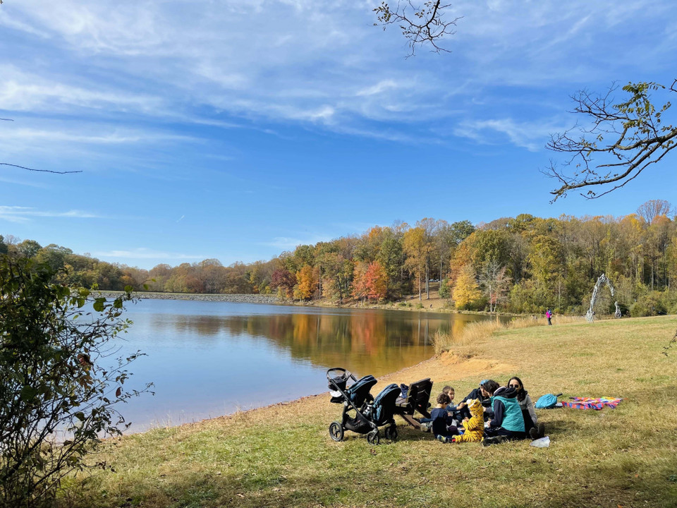 Các gia đình người Mỹ thường đi picnic tại những công viên để ngắm cảnh mùa Thu. (Ảnh: Đặng Huyền/TTXVN)