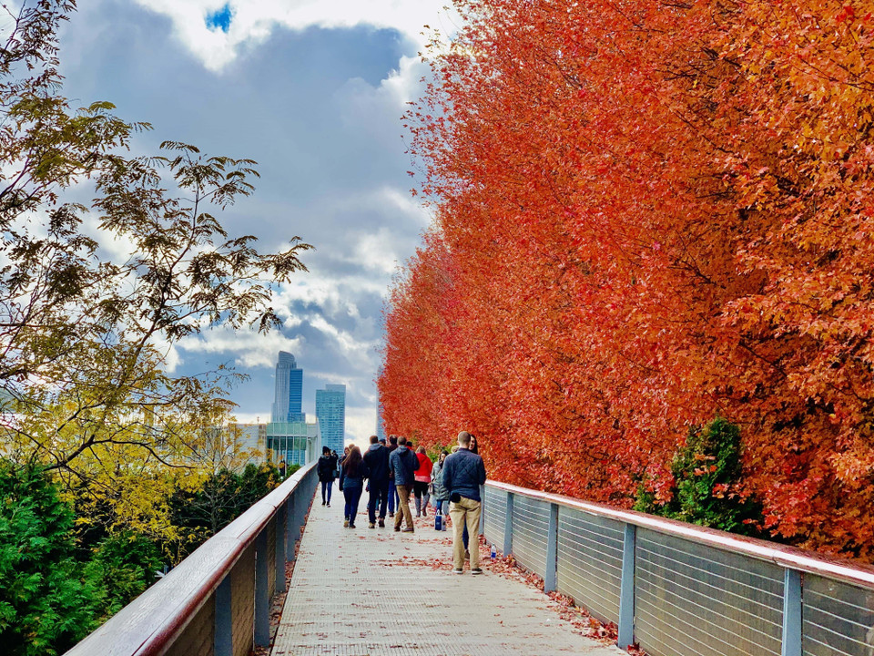 Con đường mùa Thu thu hút rất đông du khách tại thành phố Chigaco. (Ảnh: Đặng Huyền/TTXVN)