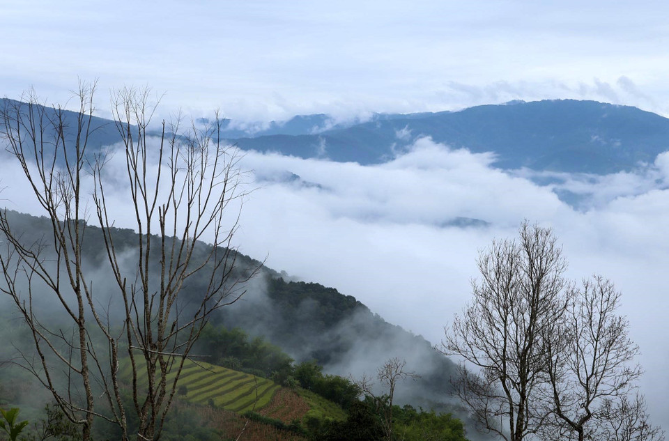 Mây trắng bao trùm cả những thửa ruộng bậc thang đan xen là dãy núi hùng vĩ. (Ảnh: Quý Trung/TTXVN)